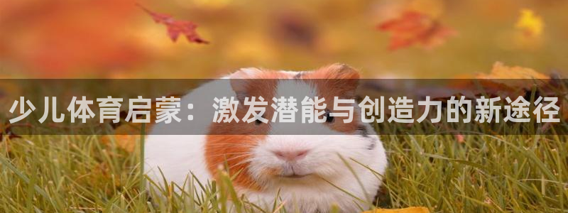 必一体育是啥