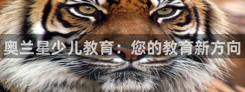 必一体育网页登录版官网