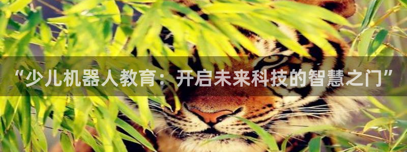 必一体育周公