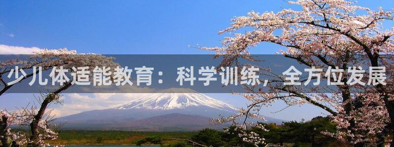 必一体育登录