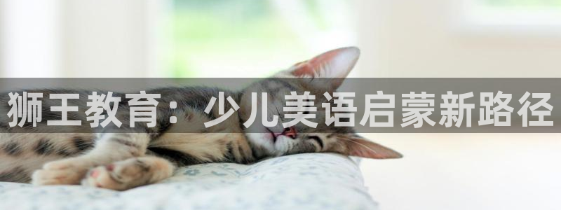 必一运动体育app