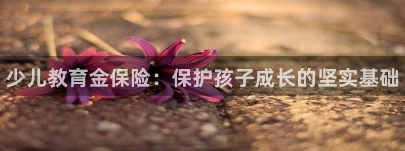 必一体育电子app